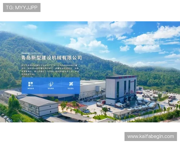 解析凯发集团在国际市场扩展中的机遇与挑战