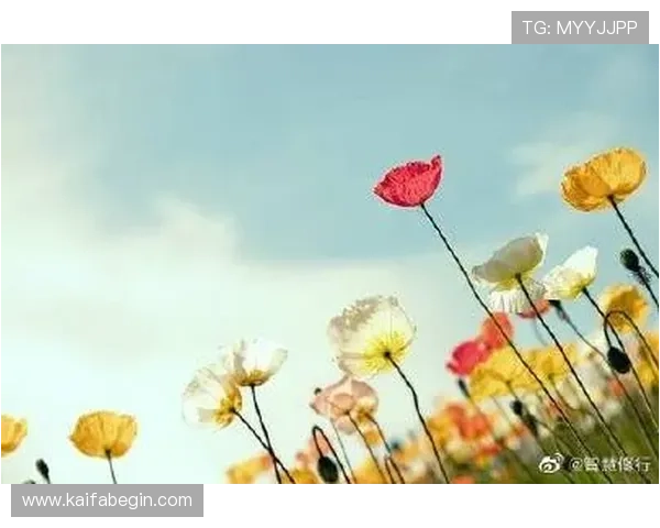 如何顺利完成k8(国际)首页登录流程,解决登录遇到的常见问题 如何顺利完成k8(国际)首页登录流程,解决登录遇到的常见问题